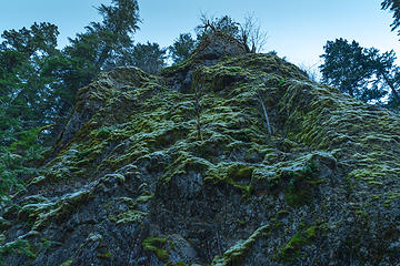 trailside frosty moss cliff