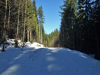 Snowy Logging Road