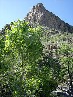 Rocky peak next to canyon