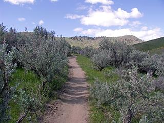 Section of The North sage Hills trail. A hiking, biking, running group of interconnecting trails on Wenatchees West foothills border