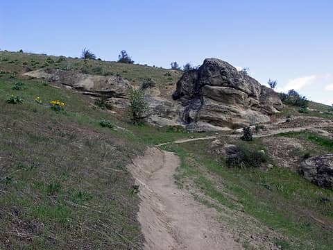 Nice arrangement of rock, flowers, and trail.