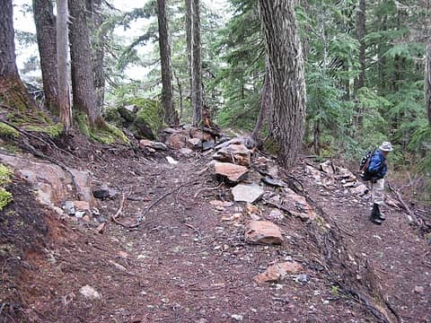 new trail switchbacking up the ridge