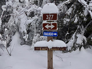 Palouse Divide Rd becomes a nordic ski area in winter.