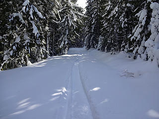 Snowmobile track.