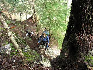 Scrambling steeply up through the forest