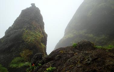 Rock Outcroppings In The Fog