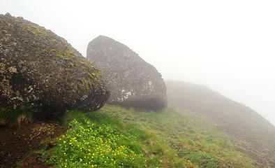 Boulders And Buttercups In The Fog
