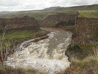 The Palouse River has been above flood stage this week. This is upstream from the falls.