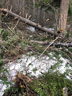 Upper Twin Lakes Trail 5/3/19