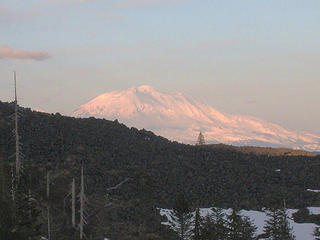Mt Adams in the Distance