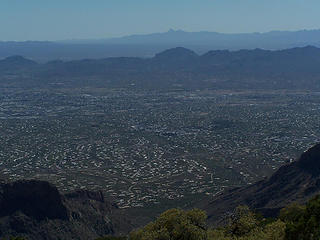 Tucson from Table Mtn.