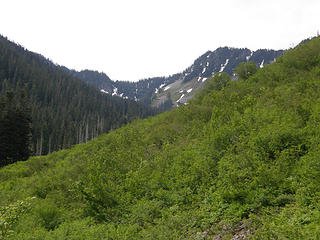Avalanche/slide area nearing Annette Lake trail junction.