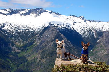 Chihuahuas with Chiwawa Ridge.