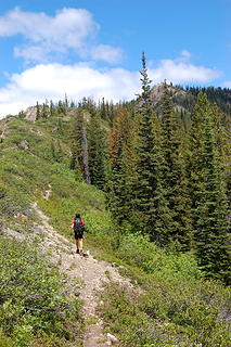 Unmaintained trail from the lookout to the summit.