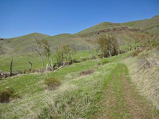 Green Gulch Trail.