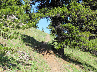 Upper Maynard Burn trail at about 5800 ft