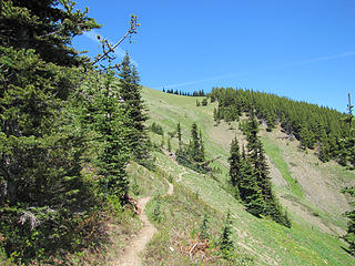 Trail toward Tyler-Baldy ridge