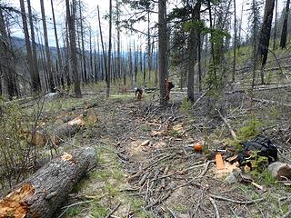 Mike and Don clearing debris from N-20 Mile trail, 5.22.19