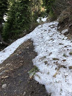 PCT Southbound from Hope Lake 6/12/19