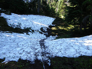 One of last 2 lingering snow patches on trail to Grand Park.