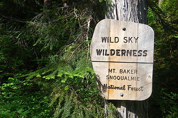 Near beginning of hike, West Cady Ridge trail