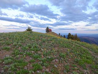 Oregon Butte Lookout, 6387.' This is the highpoint of Columbia County, Wa and a P2K summit.
