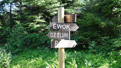 Ewok Sign