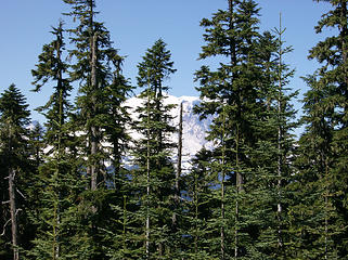 View of Rainier from parking area
