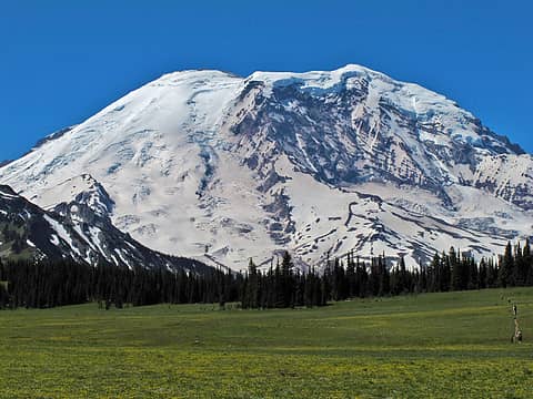 Mt Rainier in your face from grand park. 
Lk Eleanor trail to Grand Park MRNP 7/17/10