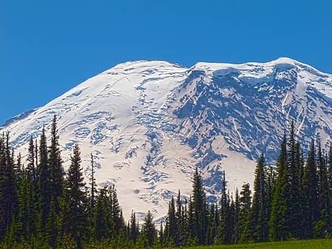 Rainier up close and personal from Grand Park. 
Lk Eleanor trail to Grand Park MRNP 7/17/10