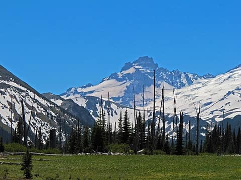 Tahoma from Grand Park. 
Lk Eleanor trail to Grand Park MRNP 7/17/10