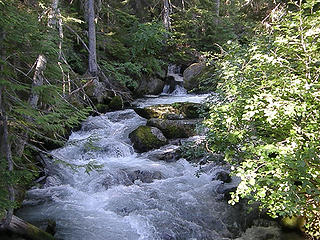 Mountaineer creek from log bridge crossing on Lake Stuart trail.