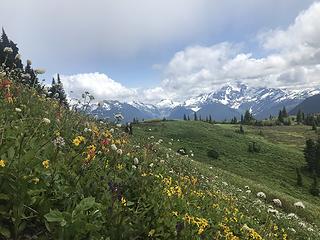 Mt Shuksan peaking through the clouds and wildflowers