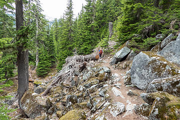 Back on the main West Fork Foss trail, here approaching Little Heart Lake