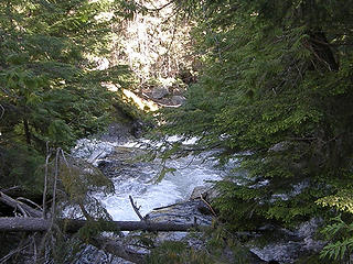 Mountaineer creek from log bridge crossing on Lake Stuart trail.
