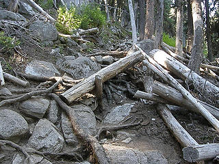 Roots and rocks trail section on Colchuck Lake trail.
