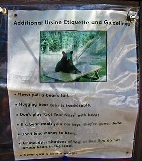 Ursine Etiquette and Guidelines
