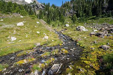Crater creek headwaters