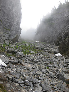 Looking up foggy gully