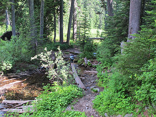 A fallen log formed a partial bridge across the trail.