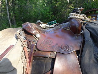 Saddle detail.