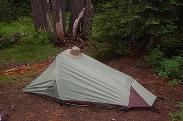 My new $100 tent, with $15 hat