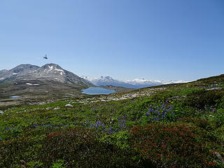 Glacier View Lake and horsefly