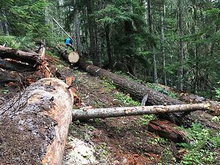 A big section of log has been rolled across the trail on the ramps - log visible on right (Joe Hofbeck photo)