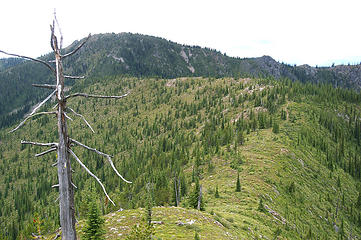 Crowell Ridge - goes on and on - see trail in center, continues to sidehill big mtn to the far left