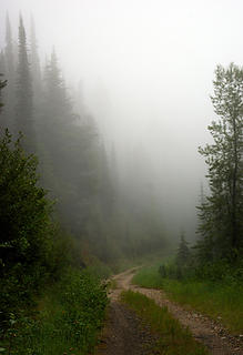 Crowell Ridge - road and fog