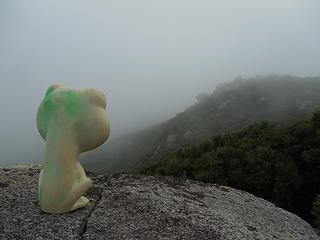 Froggy in the mist