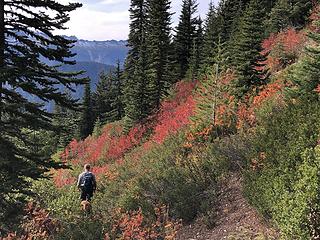 Beautiful colors along Basalt Ridge trail