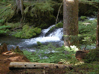 Quilcene River on trail to Marmot Pass.
