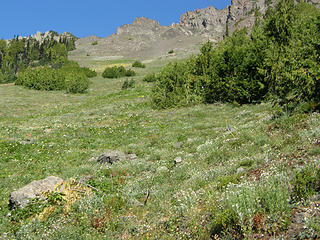 Views up towards Buckhorn/Iron from lower Marmot Pass trail.